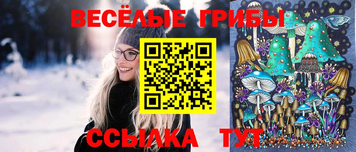 Ефремов  купить наркоту  Вход с VPN  Галлюциногенные грибы Psilocybe 